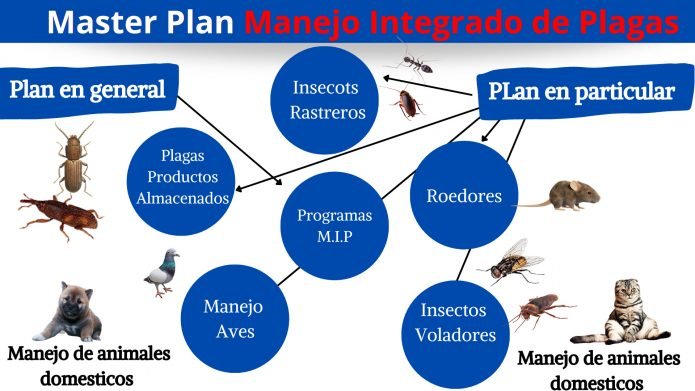 Plan Integral De Control De Plagas procplag.com